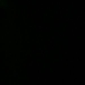 Meet your Posher, Tony